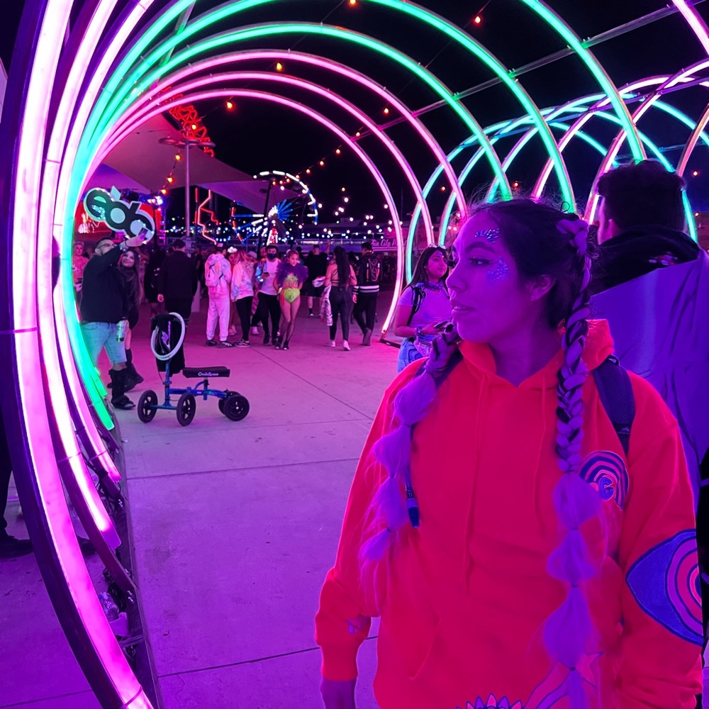 Meet your Posher, Mitzi